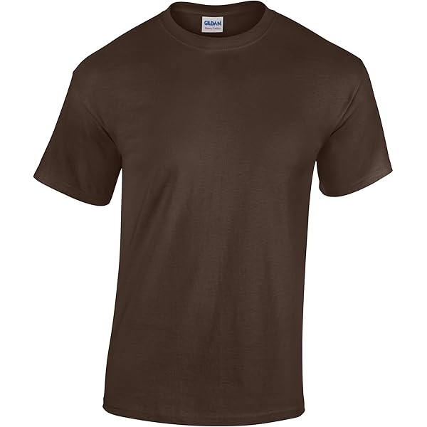 COAL CHAMBER グラフィックTシャツ M GILDAN Gildan Performance T-Shirt